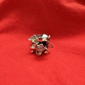 Sterling Silver Ring